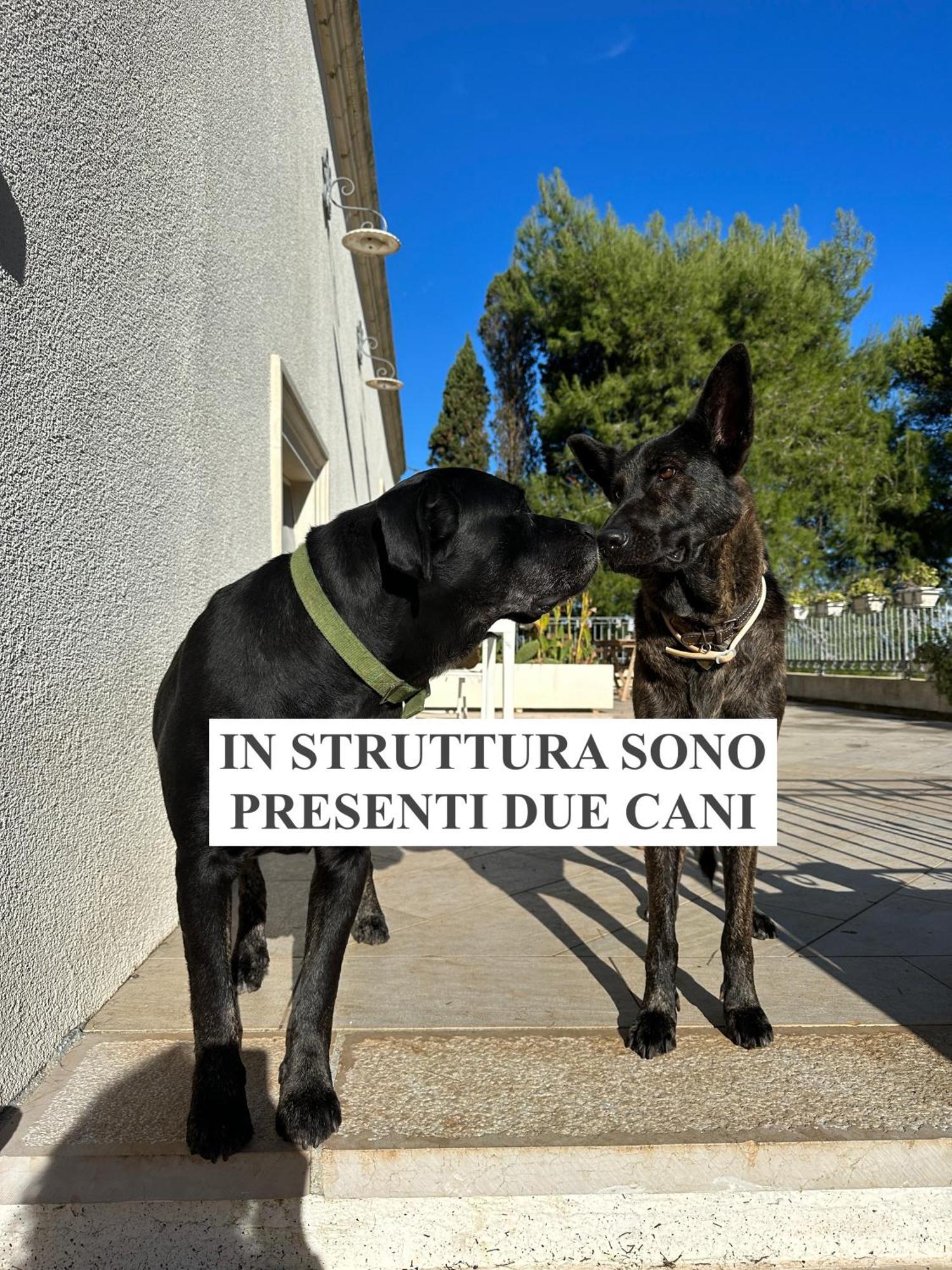 La Dimora Di Ulisse Aparthotel Santa Cesarea Terme Bagian luar foto
